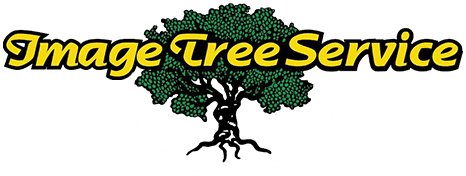 Image Tree Service